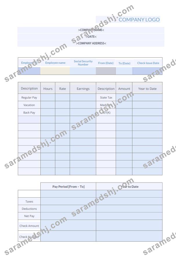 Packing Pay Stub Template